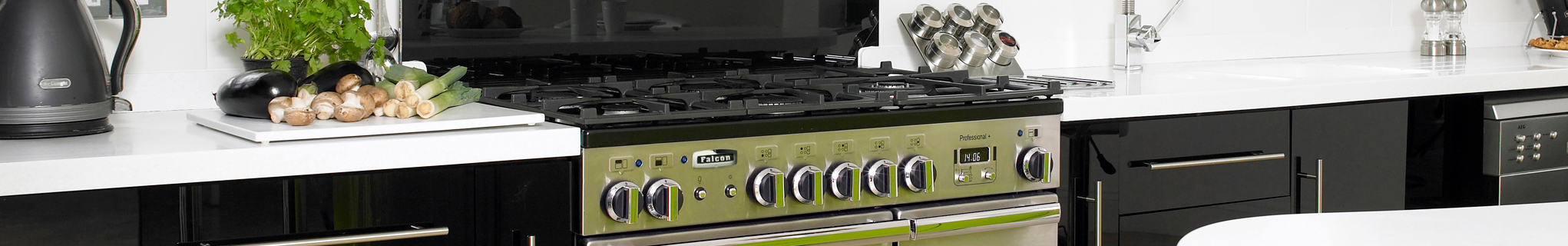 Professional+ 90 Dual Fuel in Stainless Steel