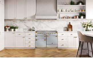 Falcon Elise Luxe 110 Induction in Stainless Steel with Antique Brass 