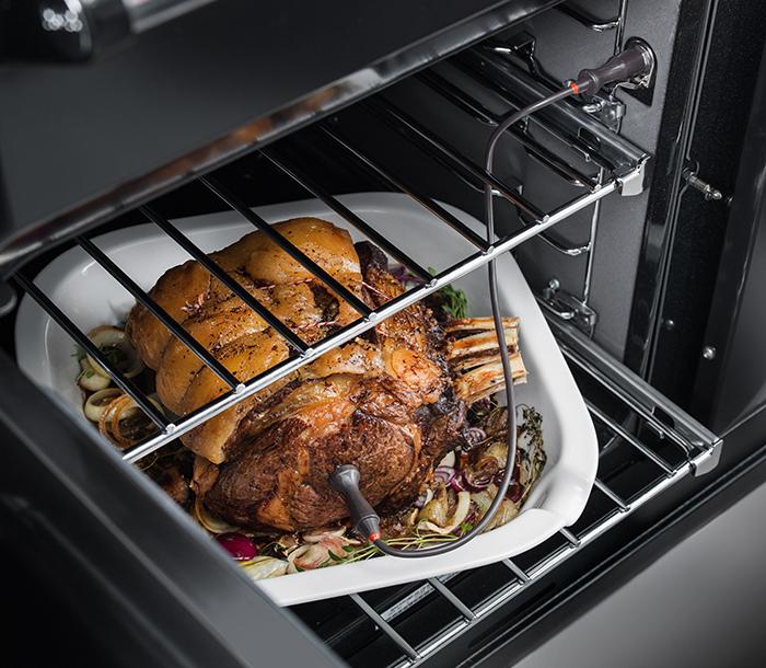 Integral meat probe in the multifunction oven